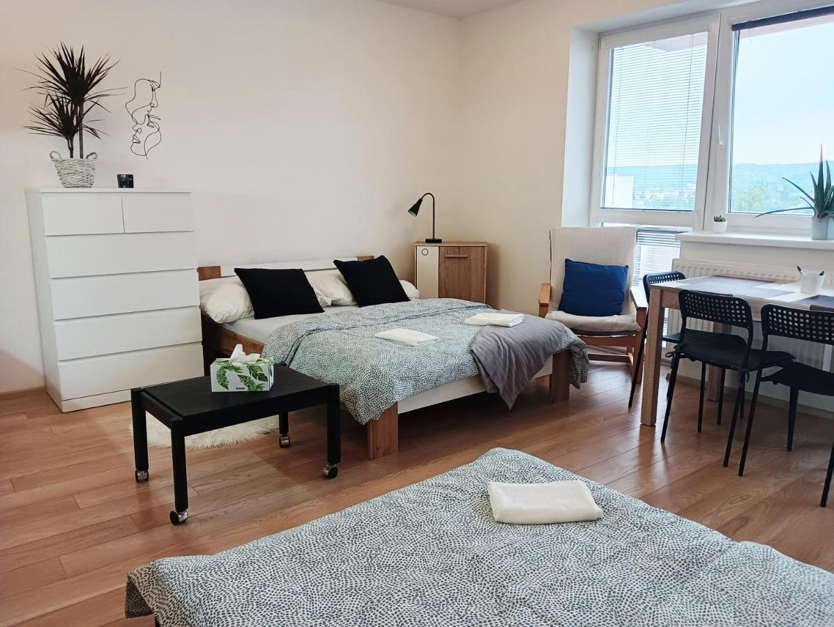 Apartman Bystrc 布尔诺 外观 照片