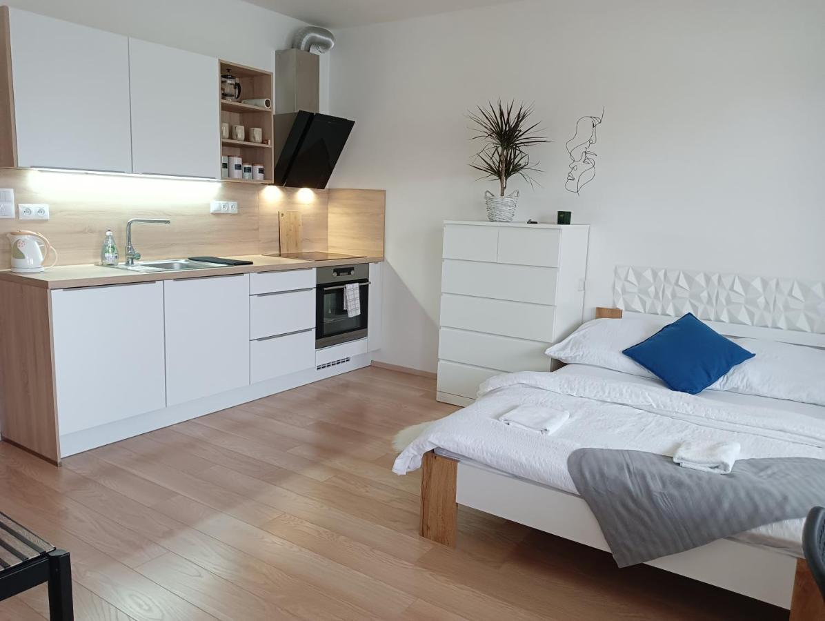 Apartman Bystrc 布尔诺 外观 照片