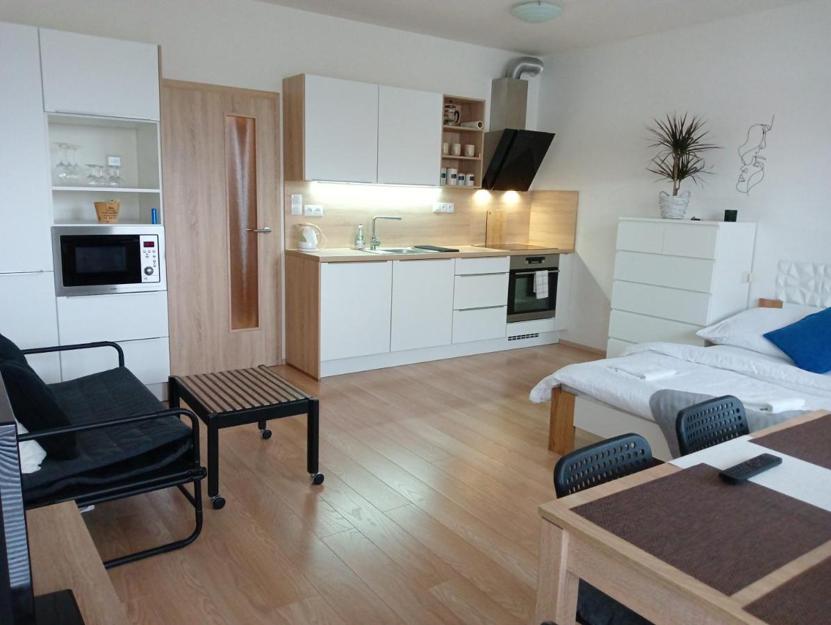 Apartman Bystrc 布尔诺 外观 照片