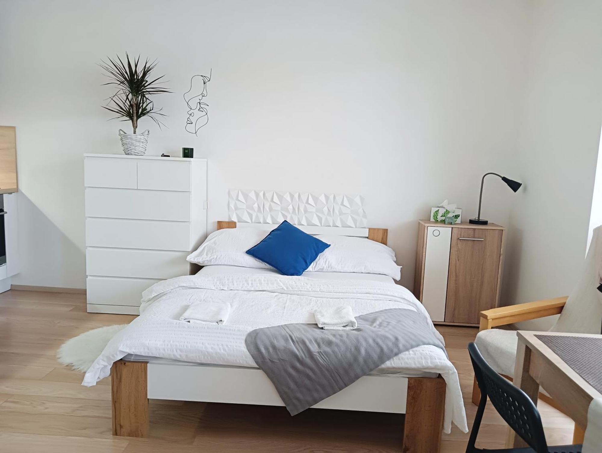 Apartman Bystrc 布尔诺 外观 照片
